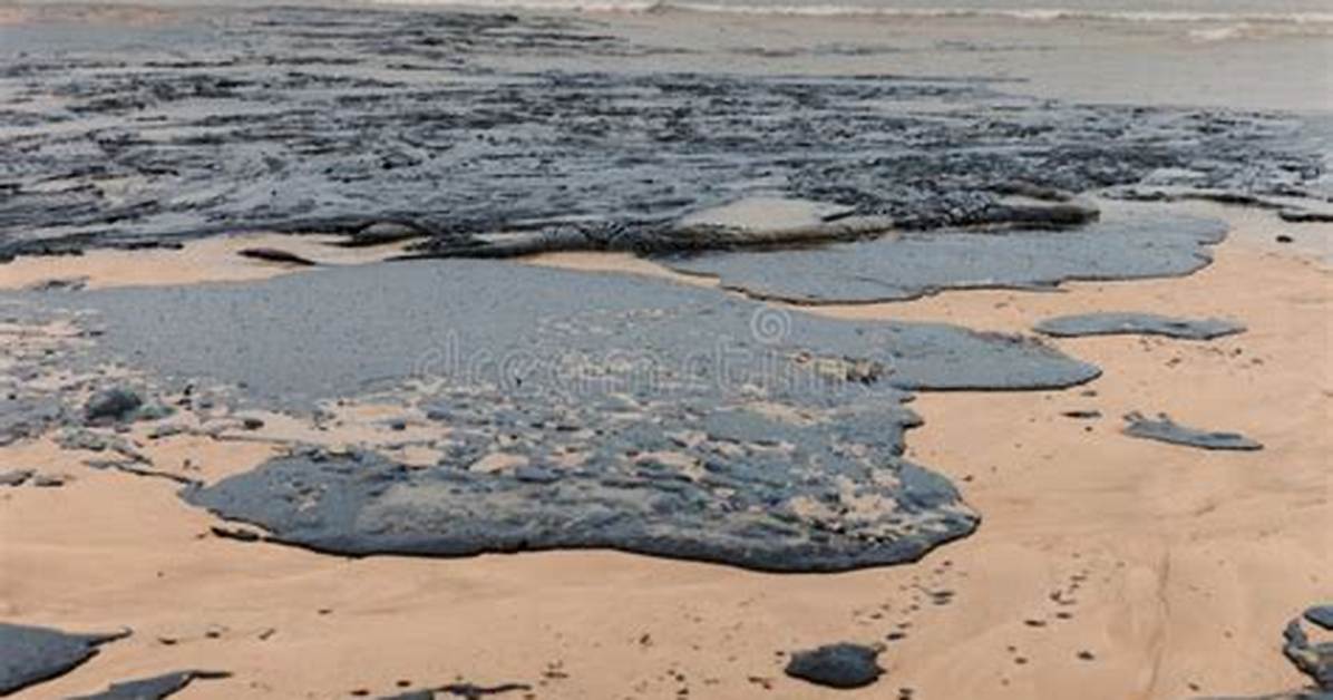 1 Drop of Oil Contaminates How Much Water