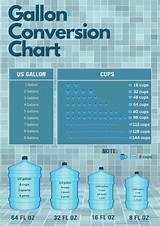 1 Gallon