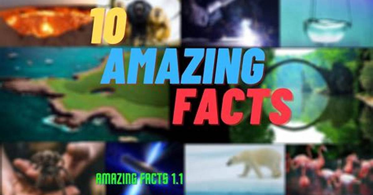10 Facts You Never Knew About