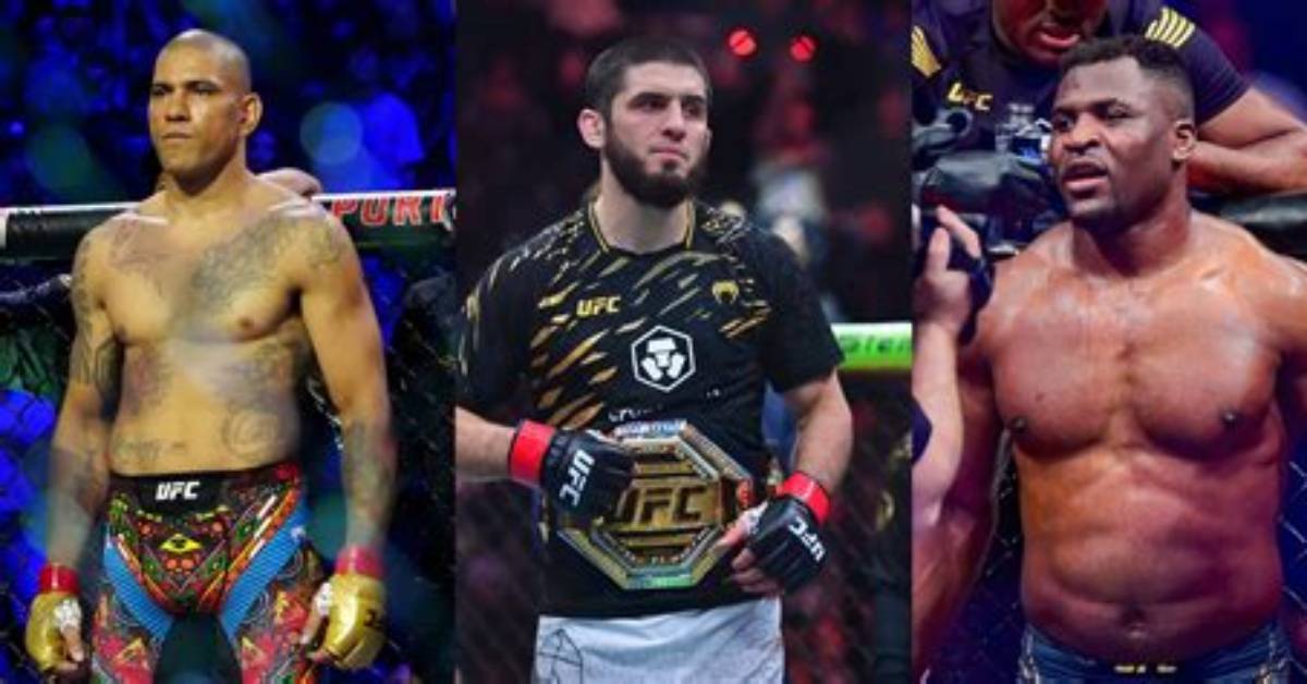 10 Mma Fighters Who Turned To