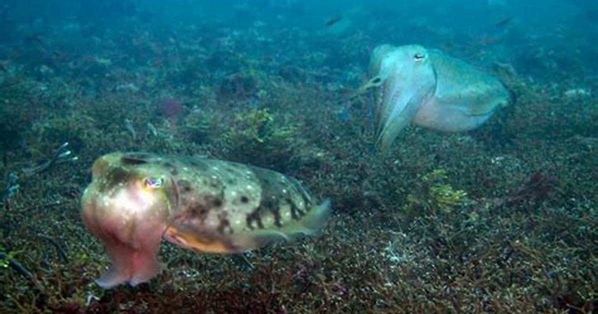 12 Creatures That Are Nearly