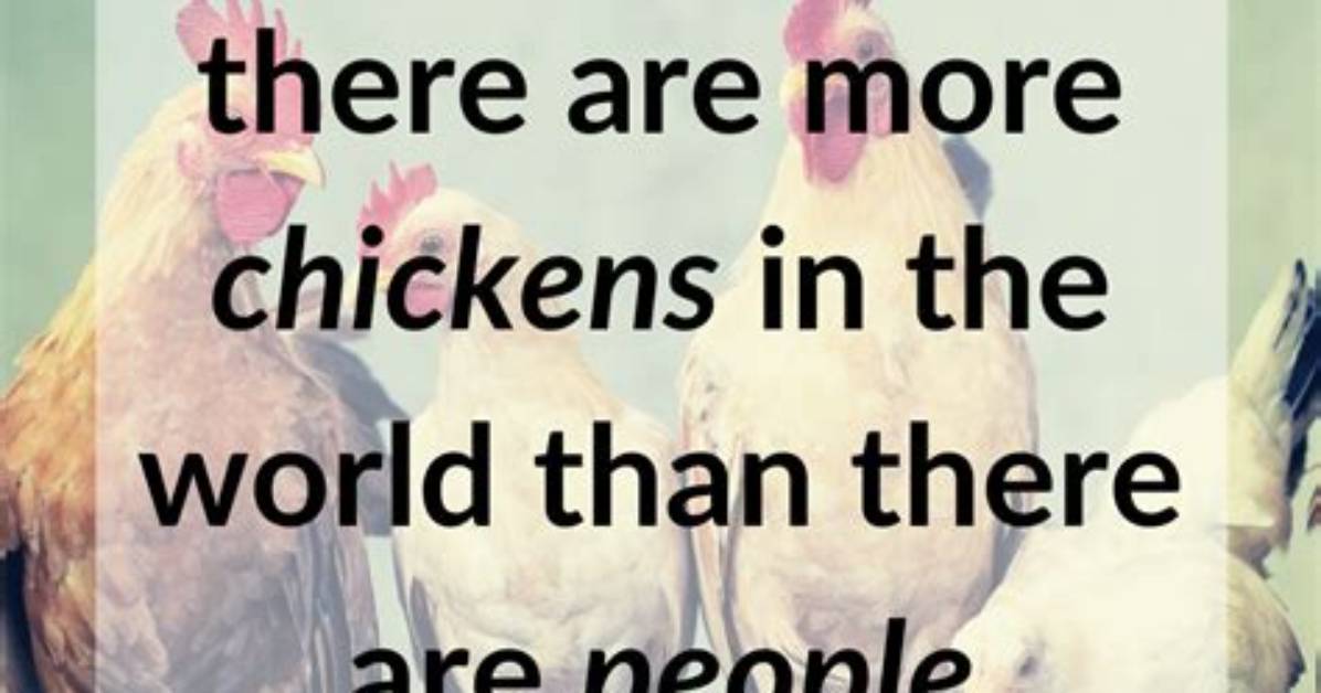 15 Facts You Didn T Know About