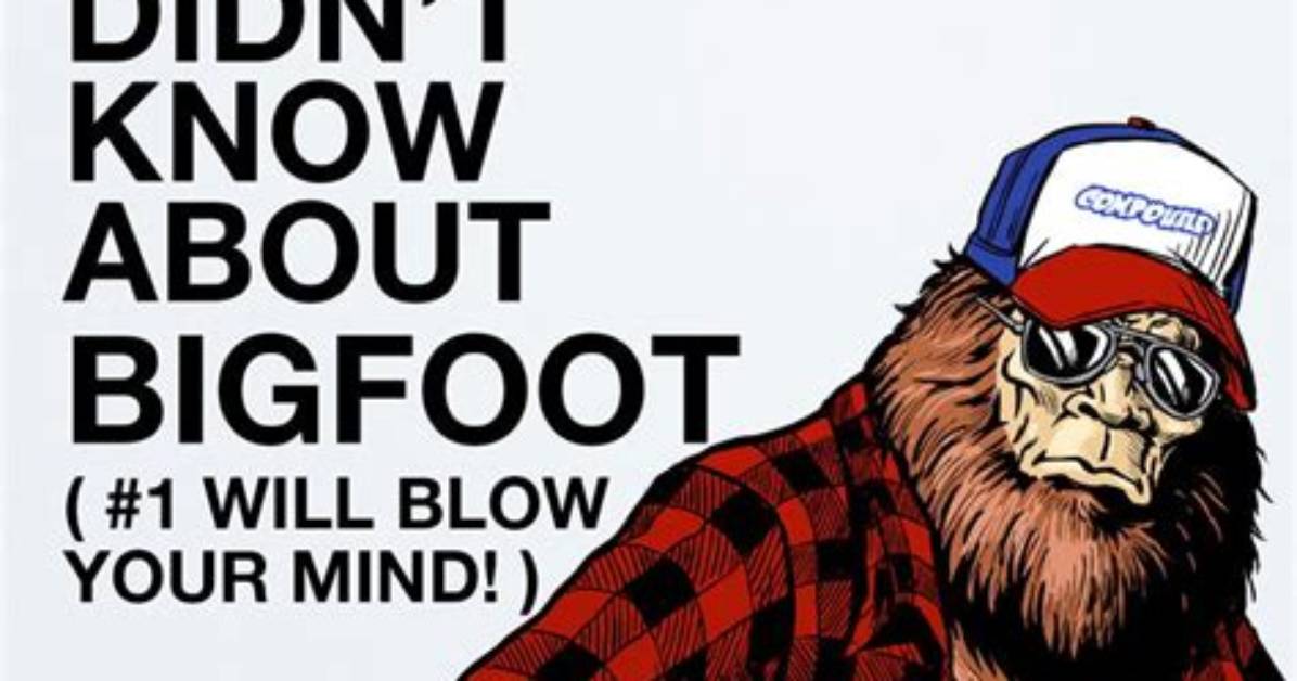 15 Things You Didn T