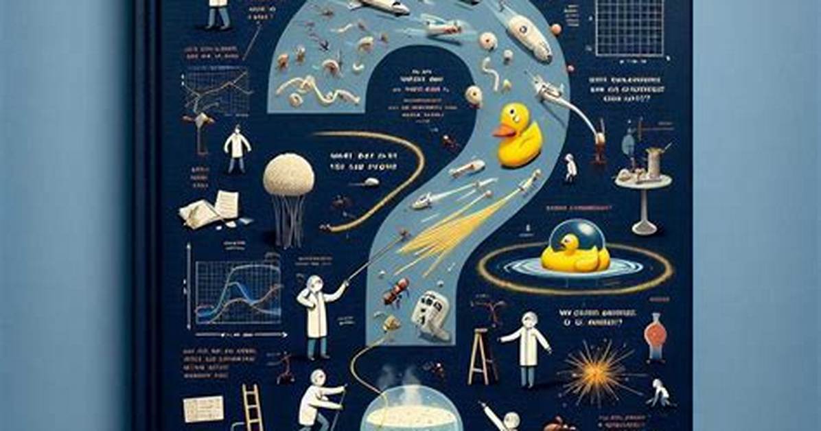 15 Weirdest Questions You Ve Never Thought to Ask