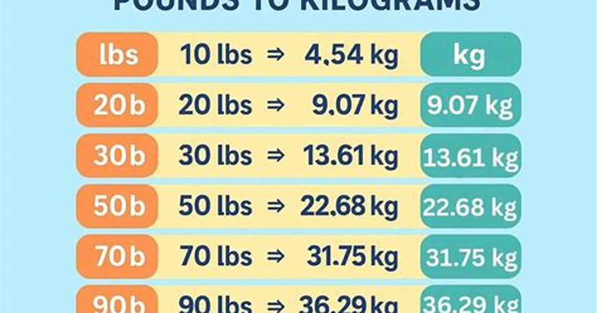 20 Pounds Weight a Comprehensive Guide to Understanding Managing and Achieving Your Fitness