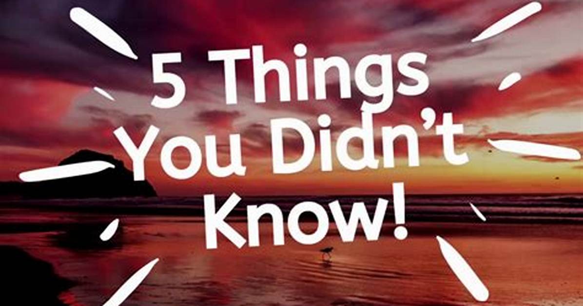 5 Things You Probably Didn T Know About Jeon So Mi of Now Disbanded I O I