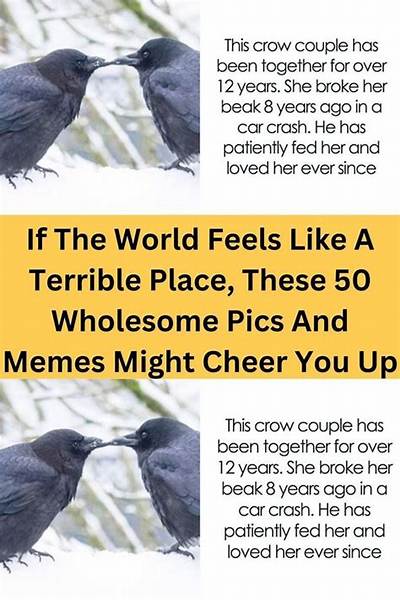 50 Wholesome Memes to Cheer You Up