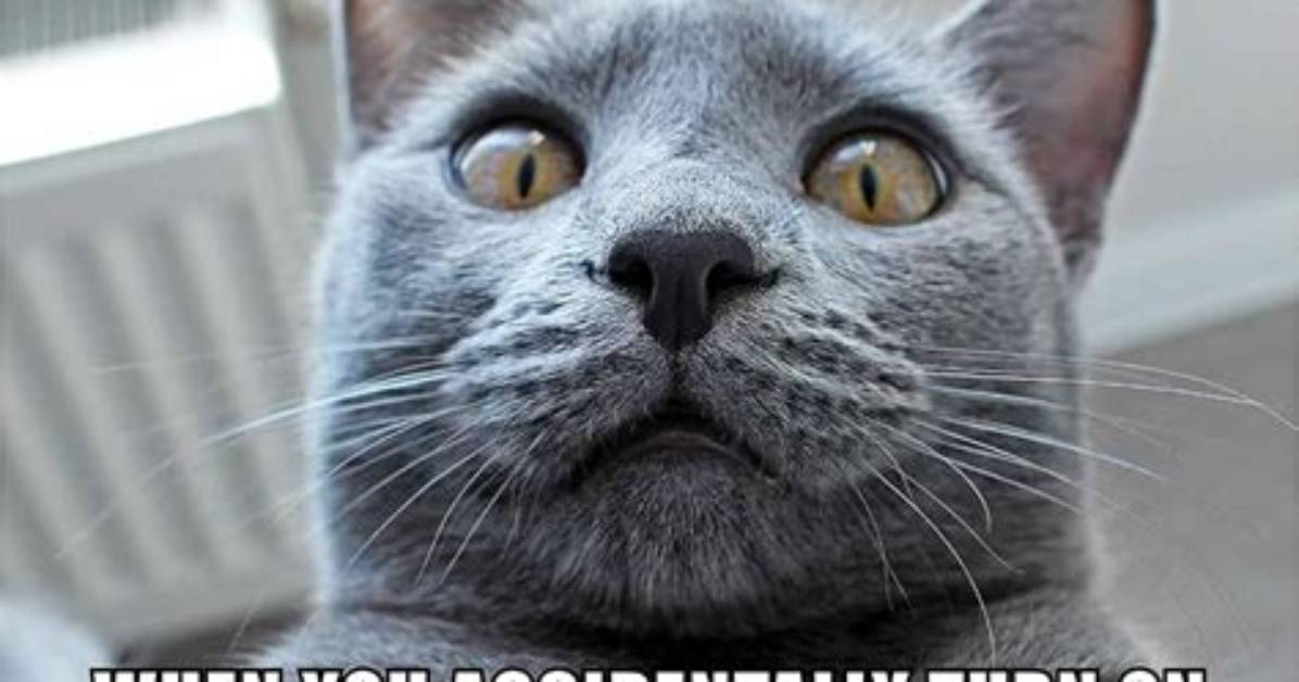65 High Memes on the Internet For