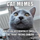 65+ High Memes on the Internet for Your Entertainment