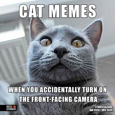 65+ High Memes on the Internet for Your Entertainment