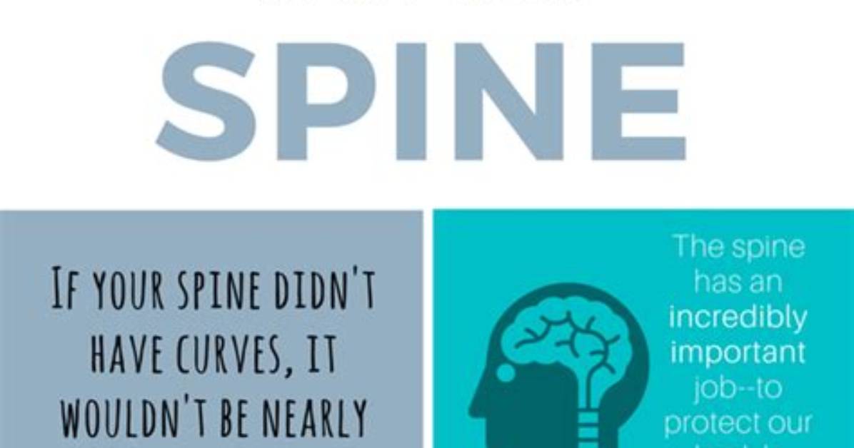 8 Things You Didn T