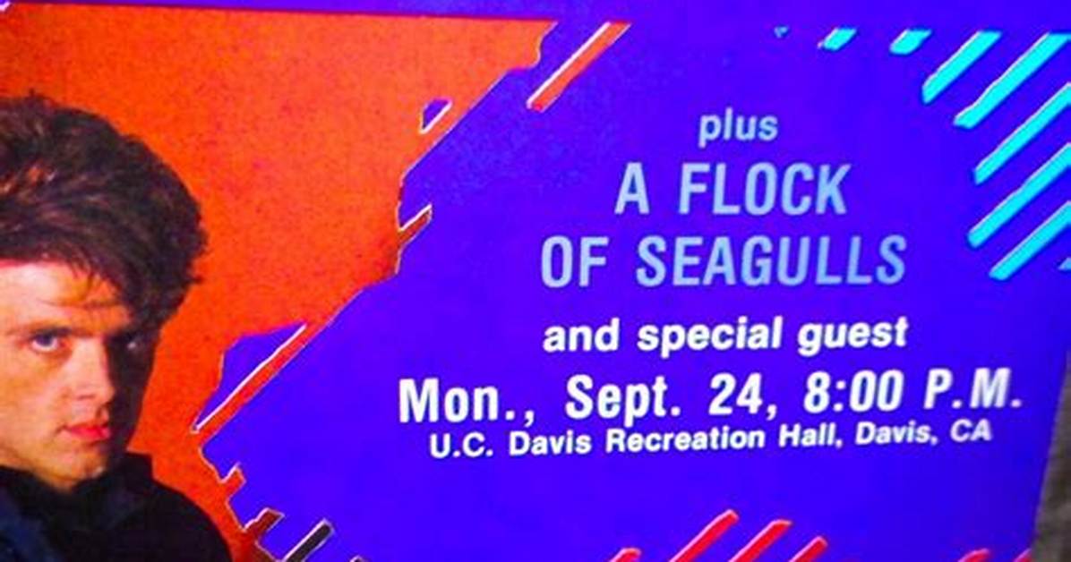 A Flock of Seagulls Net Worth, Income, Salary, Earnings, Biography