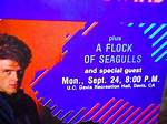 A Flock of Seagulls Net Worth, Income, Salary, Earnings, Biography