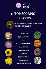 A Guide to Flowers for Scorpio