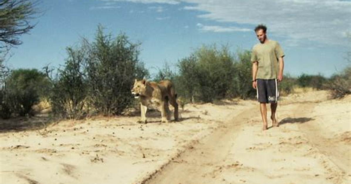 A Journey into the Heart of Hollywood S