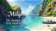 Aagmaalvdo: the Hidden Gem You Need to Discover Now