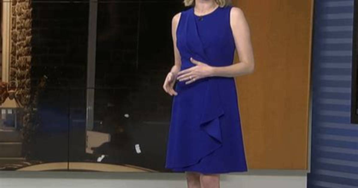 Abc News Maggie Kent Pregnancy Rumors, Did She Already Have Her Baby?