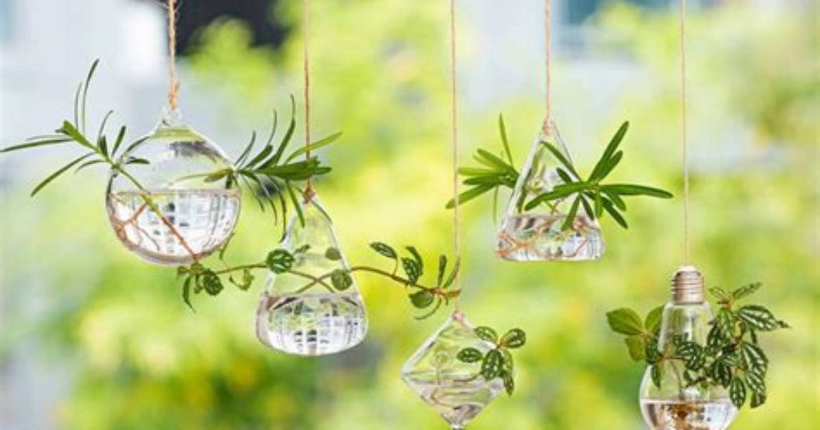 About Decorative Hanging Glass