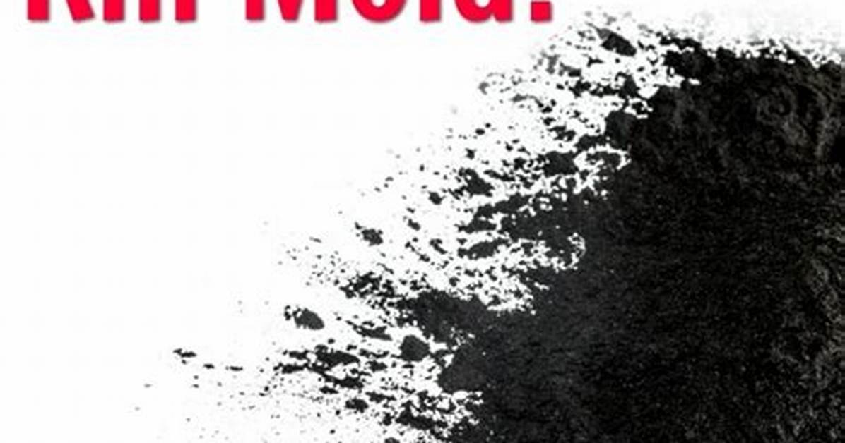 Activated Charcoal to Get Rid of Mold