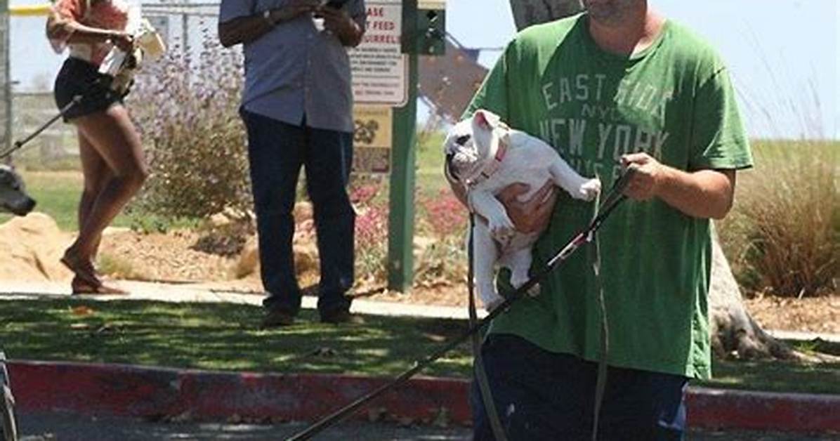 Adam Sandler's Beloved Bulldog: a Behind-the-Scenes Look