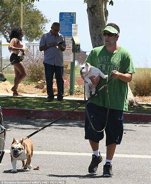 Adam Sandler's Beloved Bulldog: a Behind-the-Scenes Look