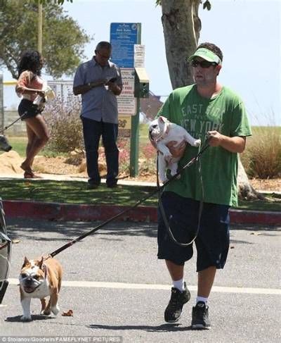 Adam Sandler's Beloved Bulldog: a Behind-the-Scenes Look