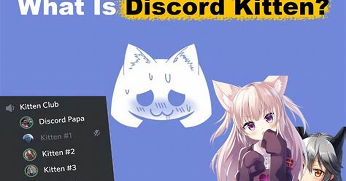 Adorable Kitten Discord Servers: Find Your Purrfect Community!