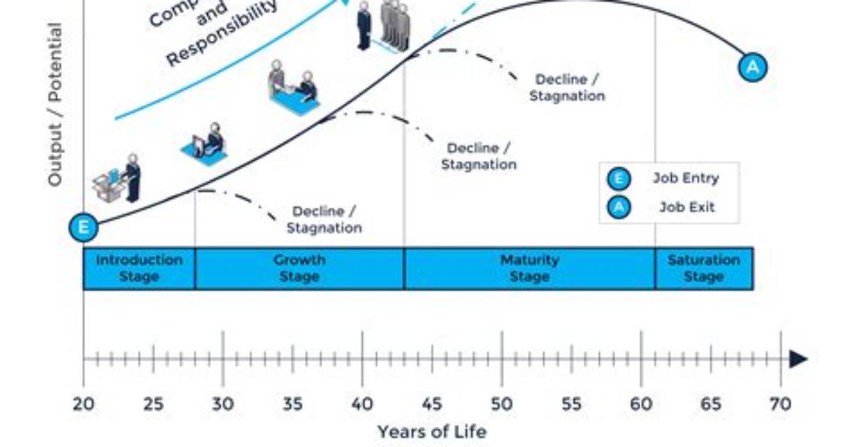 Age Career and Life