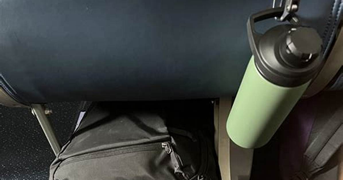 Airplane Backpack Tweet
