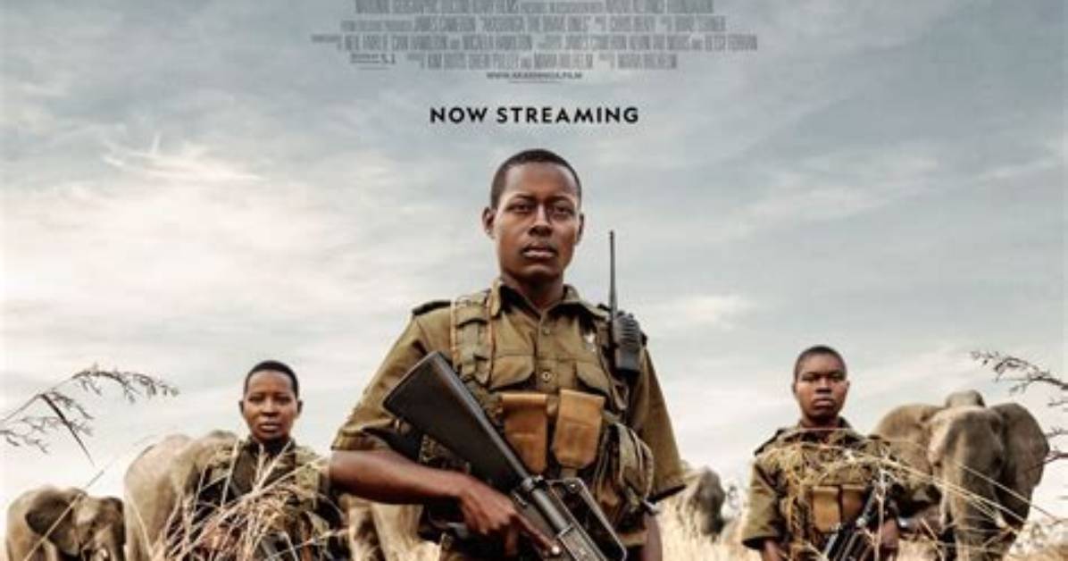 Akashinga Documentary Where to Watch