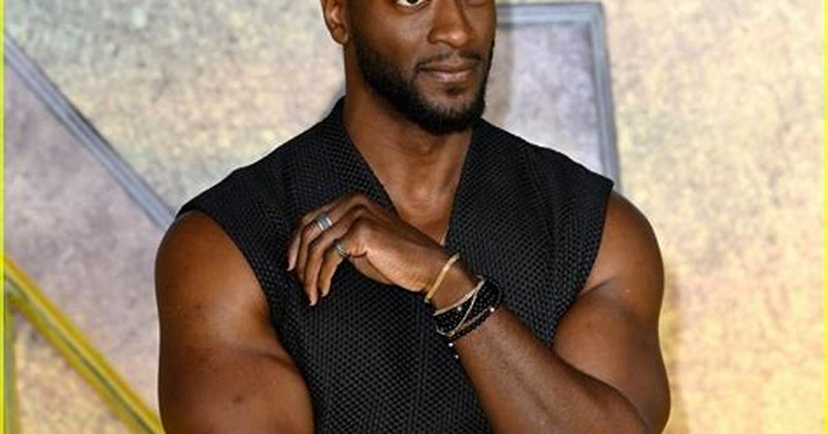 Aldis Hodge Net