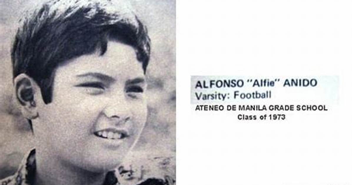 Alfie Anido Net