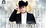 Alfredo Olivas Concerts: a Comprehensive Guide to Experience the Magic