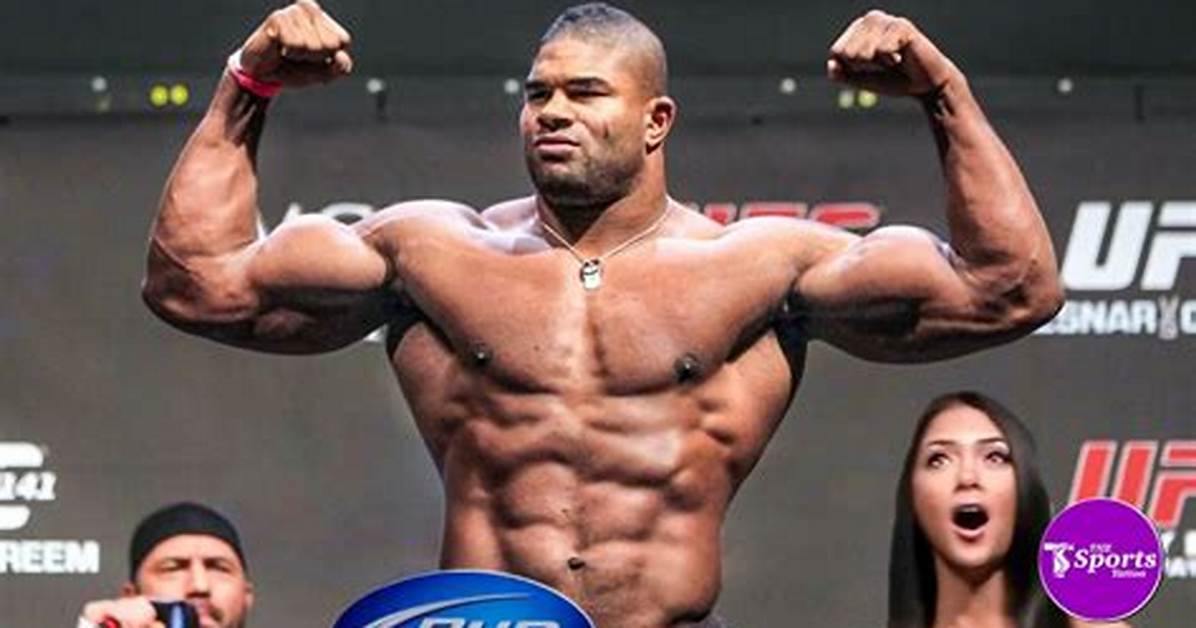 Alistair Overeem Net Worth