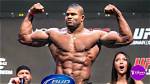 Alistair Overeem Net Worth