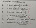 Alive or Not? the Definitive Answer on Carl Winslow's Status