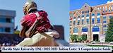 All About Fsu Game: a Comprehensive Guide