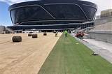Allegiant Stadium Grass Removal: a Comprehensive Guide