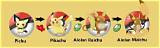 Alolan Raichu's Origins: Based on a Electric Mouse/Surfer