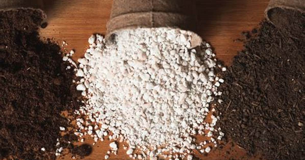 Alternatives to Perlite