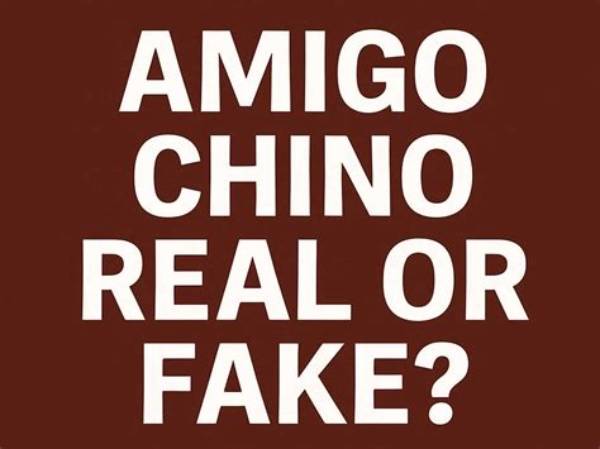 Amigo Chino Real or Fake: Unveiling the Truth Behind the Trend