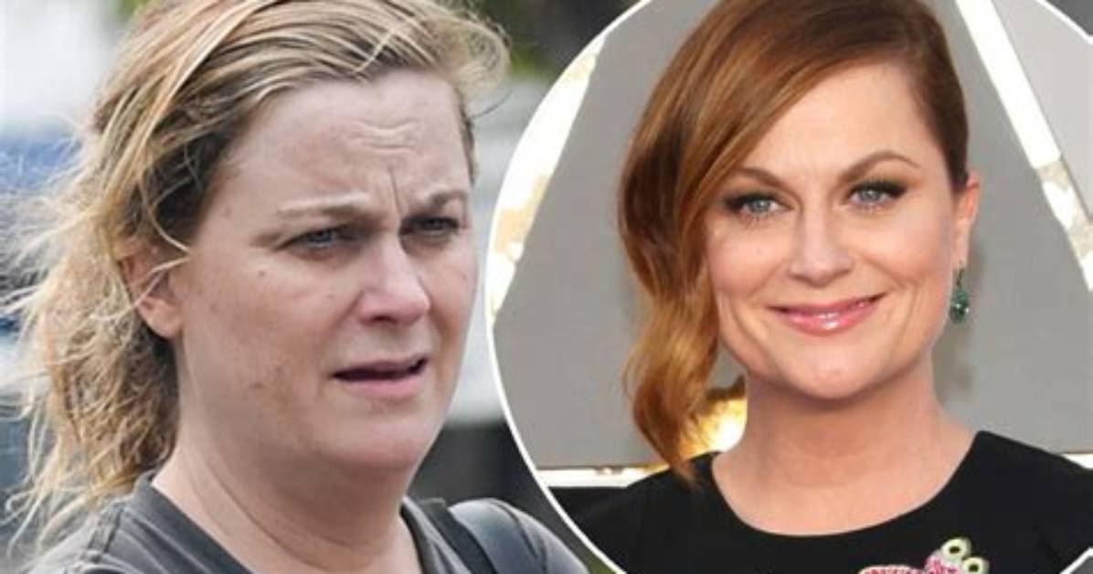 Amy Poehler's Pregnancy Journey: a Look into Her Exciting News