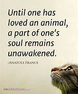Anatole France: 'Until One Has Loved an Animal a Part of One's Soul Remains Unawakened.'