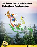 Approximately What Percentage of Southeast Asia's Population Lives in Cities?