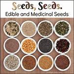 Are All Seeds Edible?