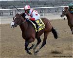 Are Any Horse Races Run Clockwise?
