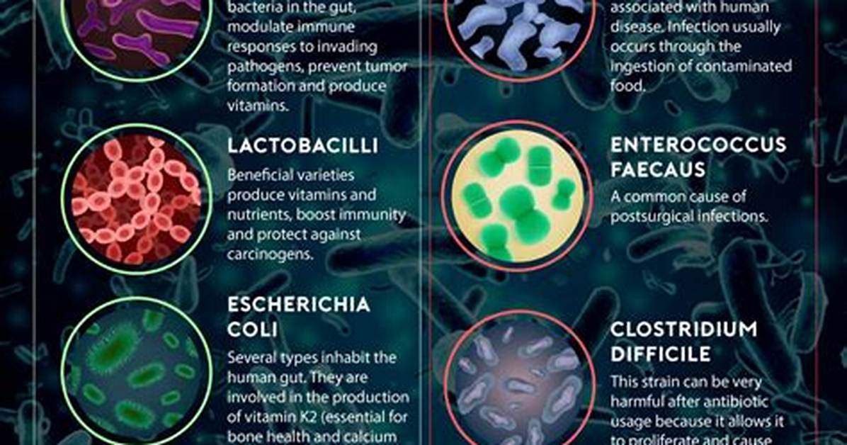Are Biofilms Good or Bad?