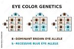 Are Blue Eyes a Genotype?