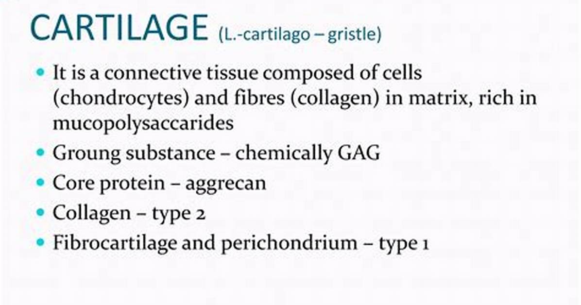 Are Cartilage and Gristle the Same?