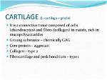 Are Cartilage and Gristle the Same?